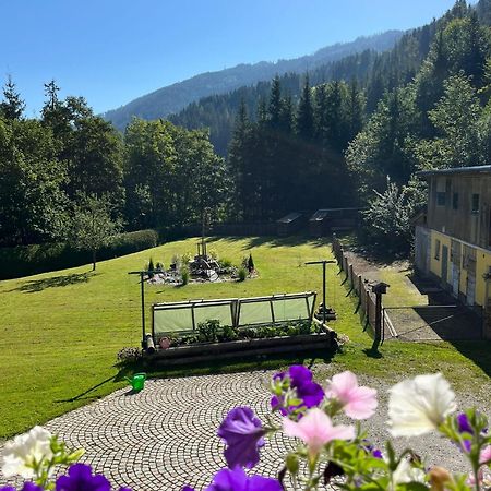 Haus Rosina Apartment Mühlbach am Hochkönig Екстериор снимка