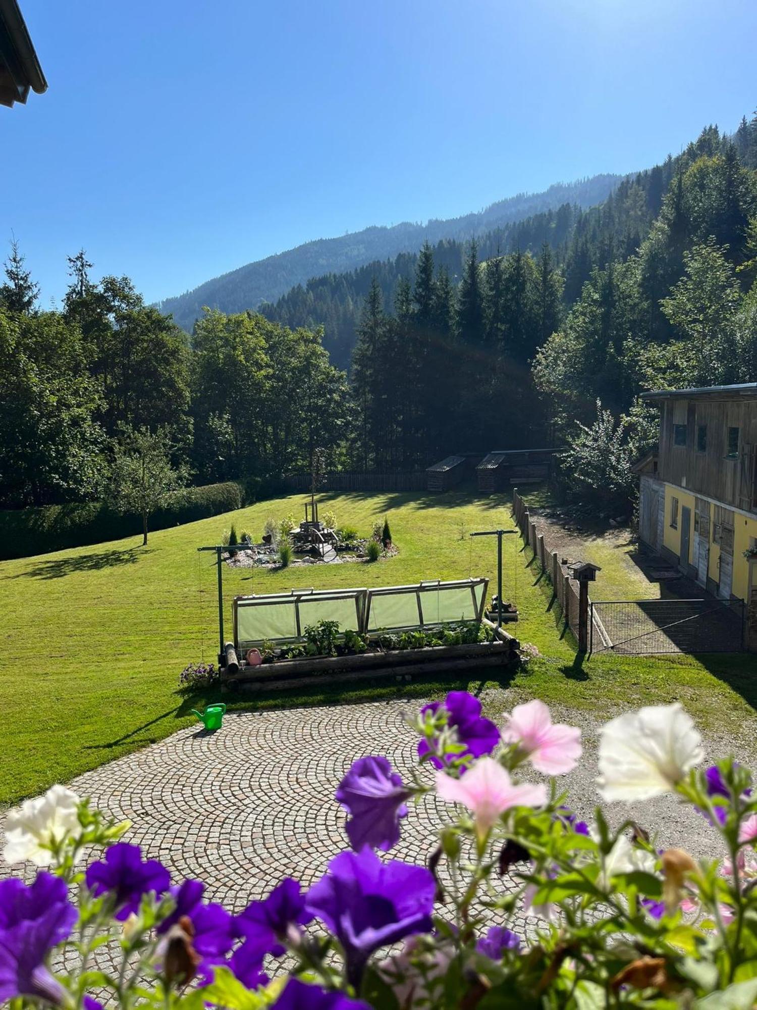 Haus Rosina Apartment Mühlbach am Hochkönig Екстериор снимка