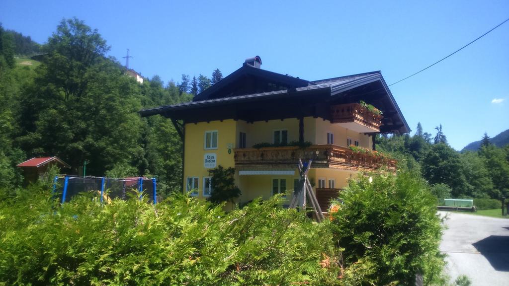 Haus Rosina Apartment Mühlbach am Hochkönig Стая снимка
